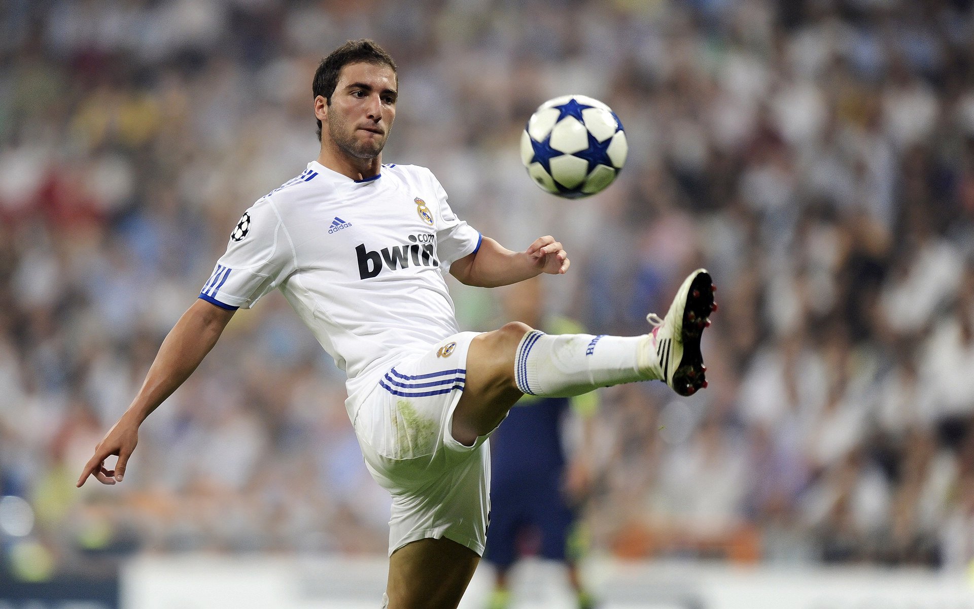 蒂姆连续十五场比赛得分超高光表现，法国队挑战极限！